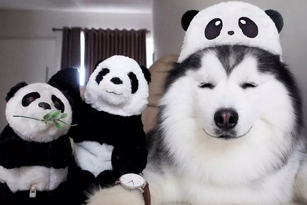 穩(wěn)達(dá)時(shí)手表生產(chǎn)廠，品質(zhì)在線款式很頑皮